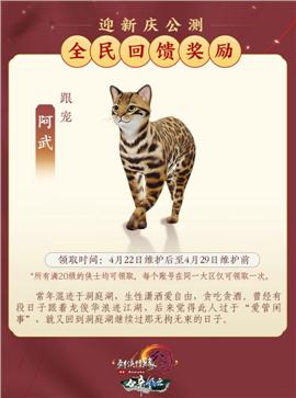 盗版天龙八部私服